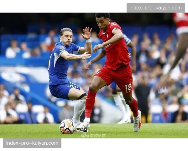 半场战报:布莱顿1-0西汉姆联,三笘薰助攻弗格森破门 半场战报:布莱顿1-0西汉姆联,三笘薰助攻弗格森破门